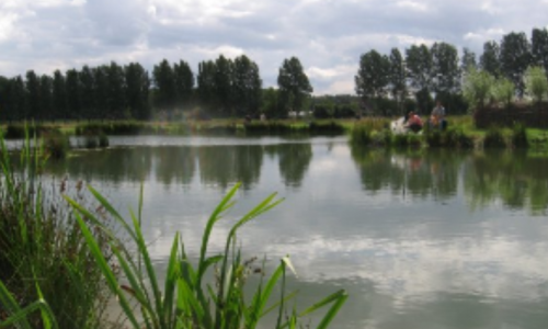 Forelvijver1